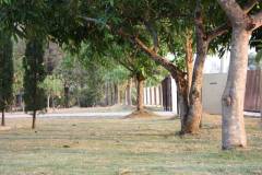 image-slider-with-thumbnail7.jpeg