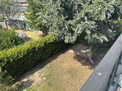 image-slider-with-thumbnail7.jpeg